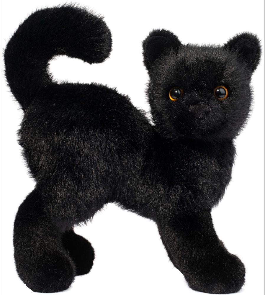 Scaredy Black Cat