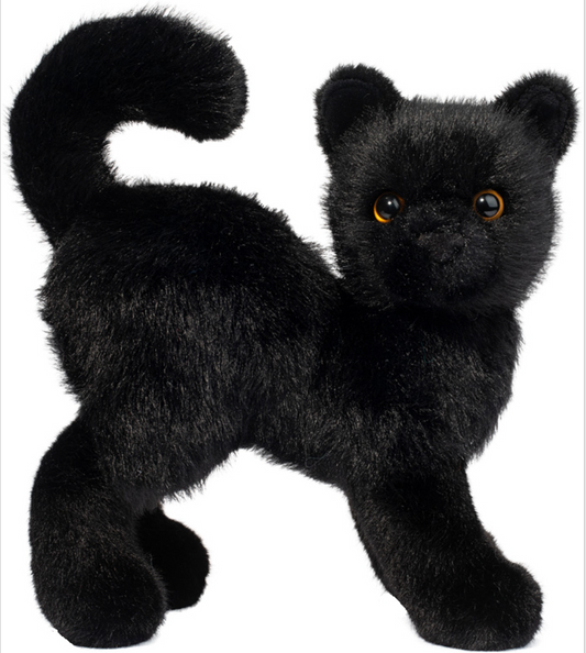 Scaredy Black Cat