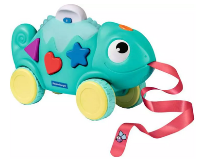 Color & Shape Sorter - Chameleon
