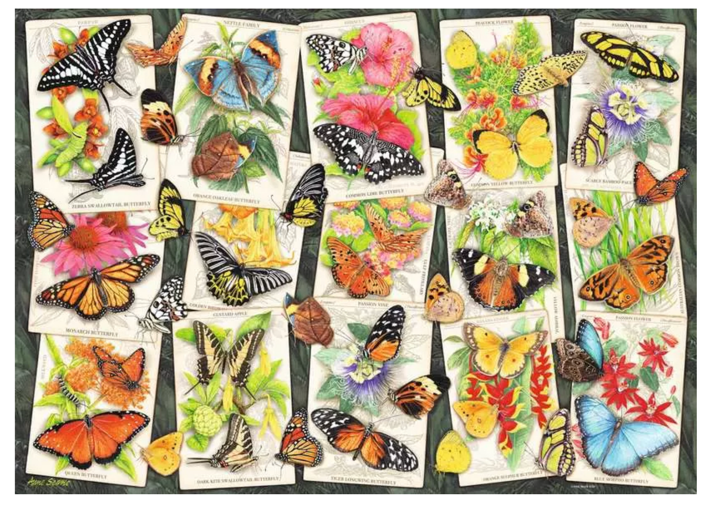 Tropical Butterflies 1000 pc. Puzzle