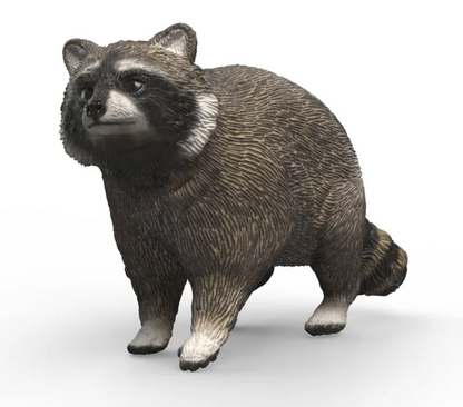 Schleich Animal - Raccoon