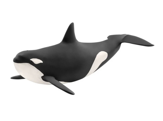 Schleich Animal - Killer Whale