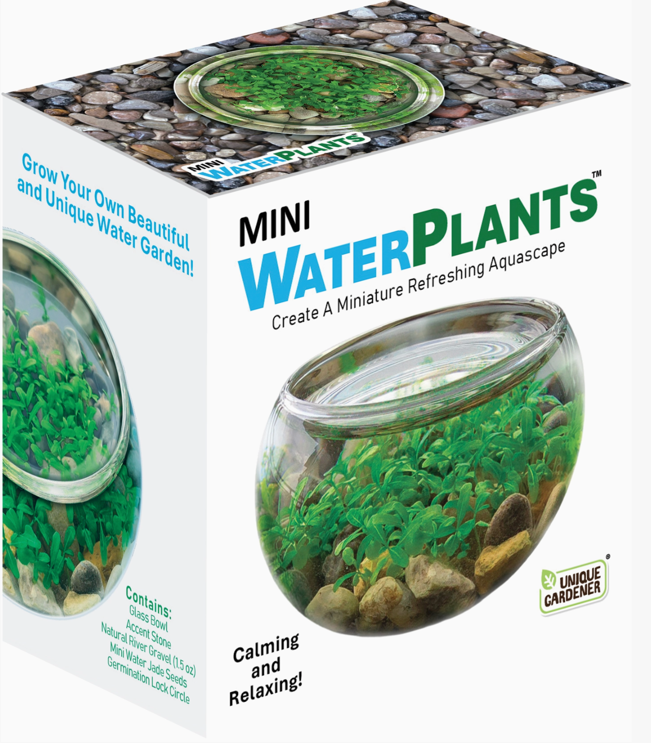 Mini Water Plant