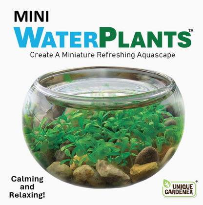Mini Water Plant