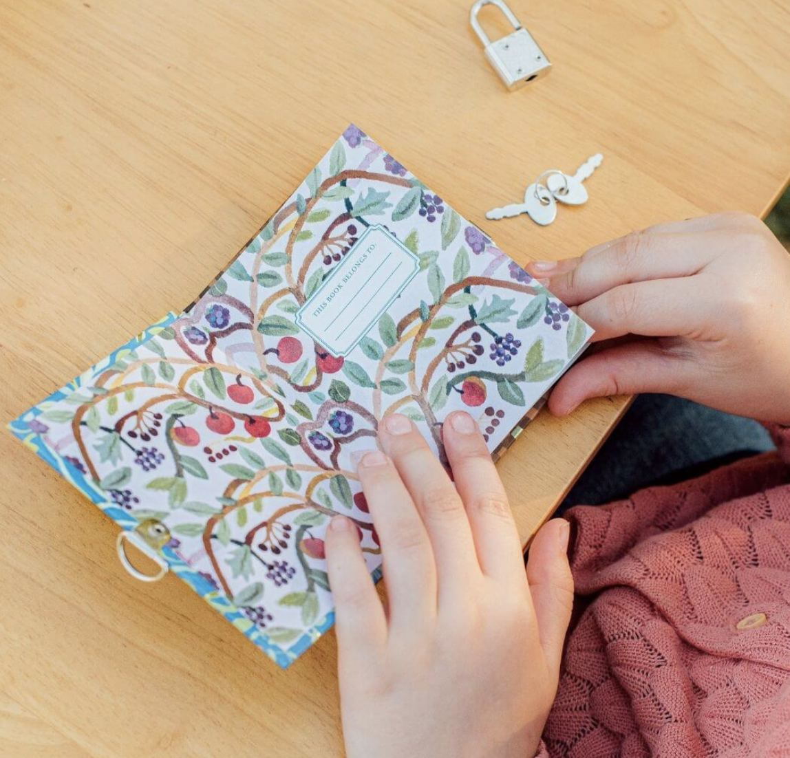 Very Small Journal Gemma Koomen Assortment