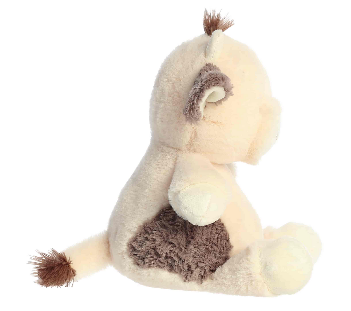 Dew Drop Casey Calf