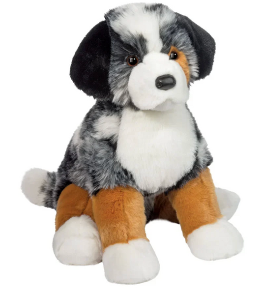 Aspen Australian Shepherd