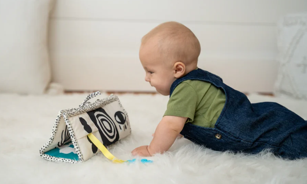 Wimmer 3-in-1 Play Mat