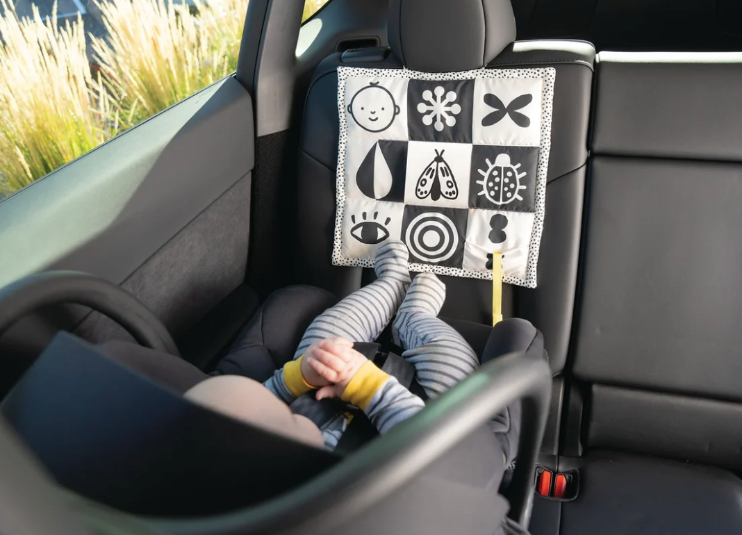 Wimmer 3-in-1 Play Mat