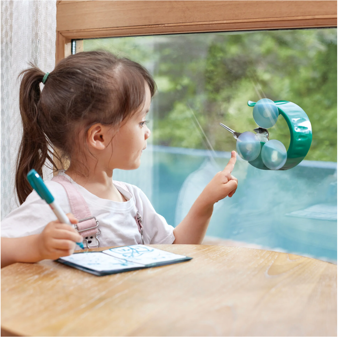 Window Bird Feeder