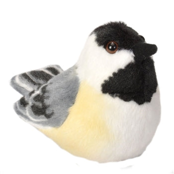 Audubon Birds