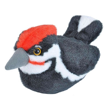 Audubon Birds