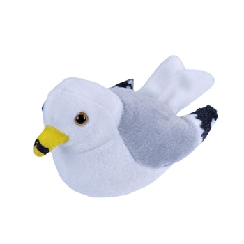 Audubon Birds