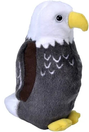 Audubon Birds